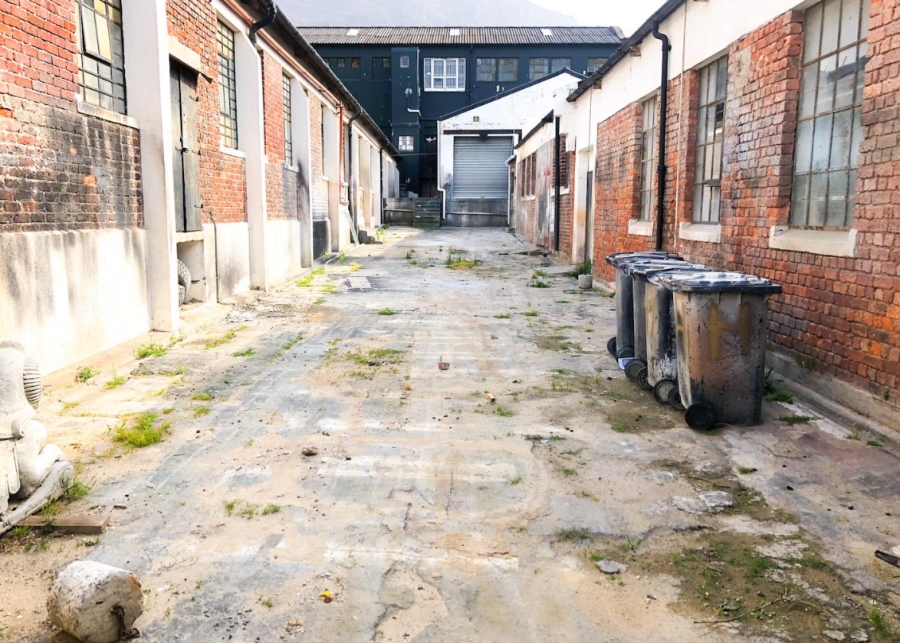 To Let commercial Property for Rent in Salt River Western Cape